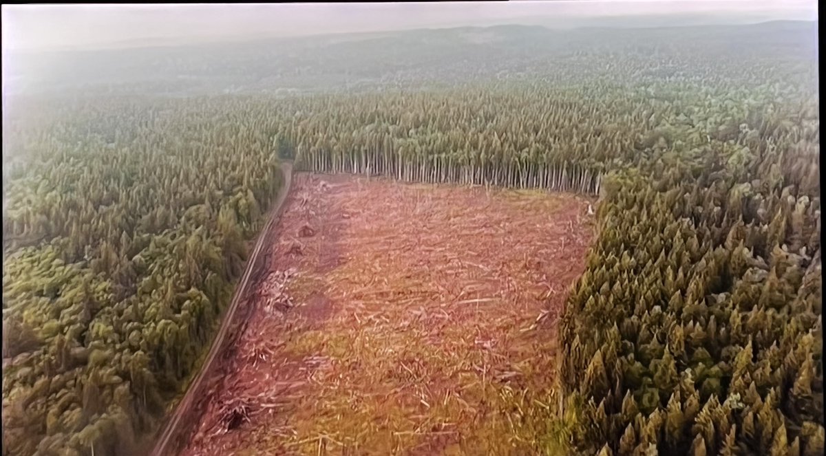 Maritimegeek's tweet photo. .@DraxGroup receiving billions in UK green subsidies while seemingly cutting down important primary forest to make wood pellets? Questions need to be asked NOW #Panorama #greenwashing @KwasiKwarteng #Draxgreenwashing @BBCPanorama https://t.co/C4lUflJWTM