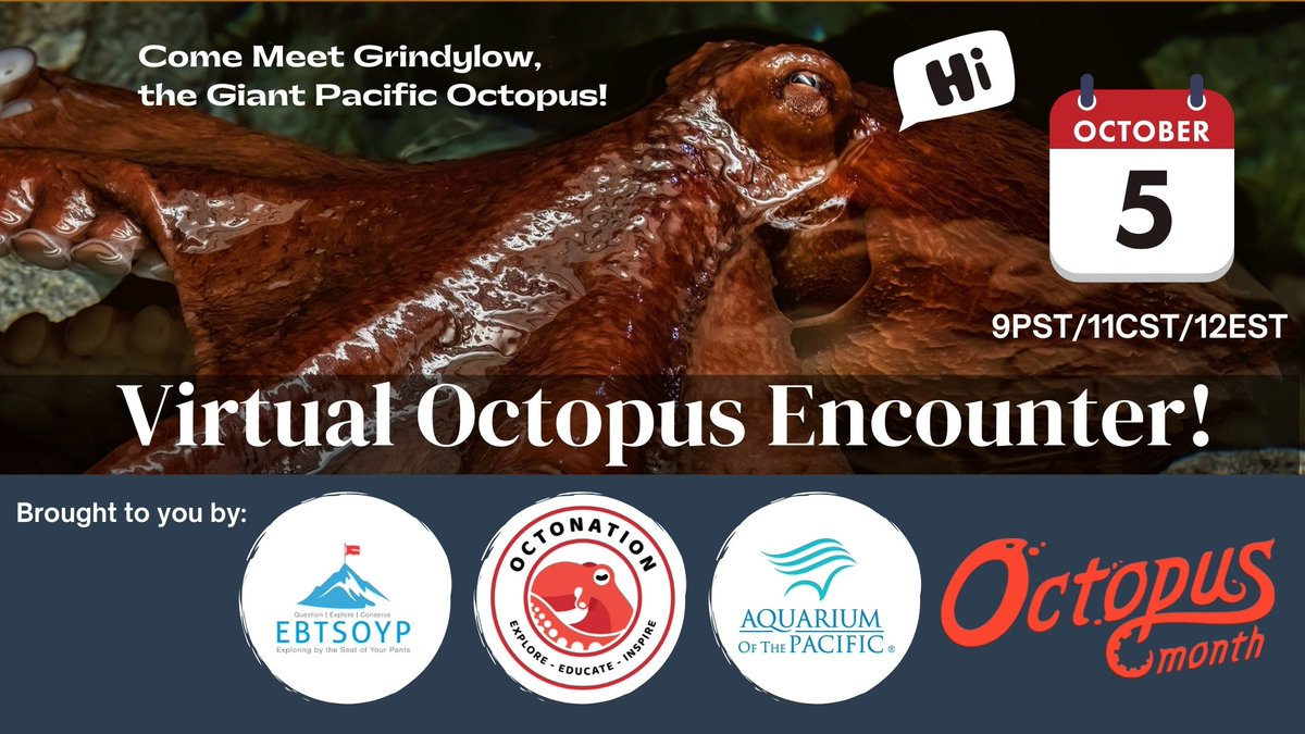 OctoNation® World’s Largest Octopus Fan Club 🐙 (@theoctonation) on Twitter photo RSVP here: fb.me/e/1XnIpJsE4
🐙🎉 It's time for a Virtual Field Trip to <a href="/AquariumPacific/">Aquarium of the Pacific</a>. Come meet Grindylow, a 17 pound Giant Pacific Octopus as we feed her & answer your questions LIVE!
Please Retweet this #OCTOpusMonth event
RSVP Alternative: youtu.be/B3YoIha5jvE RSVP here: fb.me/e/1XnIpJsE4
🐙🎉 It's time for a Virtual Field Trip to <a href="/AquariumPacific/">Aquarium of the Pacific</a>. Come meet Grindylow, a 17 pound Giant Pacific Octopus as we feed her & answer your questions LIVE!
Please Retweet this #OCTOpusMonth event
RSVP Alternative: youtu.be/B3YoIha5jvE