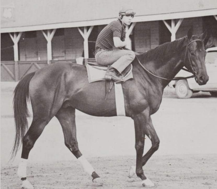 HORSERACING1002's tweet photo. JUDGER 🇺🇸 1971
(DAMASCUS - FACE THE FACTS BY COURT MARTIAL) #Judger
B/ O Claiborne Farm Mar 29, 1971
13-4-3-2------246,271 dls
Blue Grass S G1, Florida Derby G1
2nd Fountain of Youth S G3, Hutcherson S G3
3rd Futurity S G1, Flamingo S G1
Stood at Claiborne farm and Japan🇯🇵, https://t.co/bLn9rbwuzR