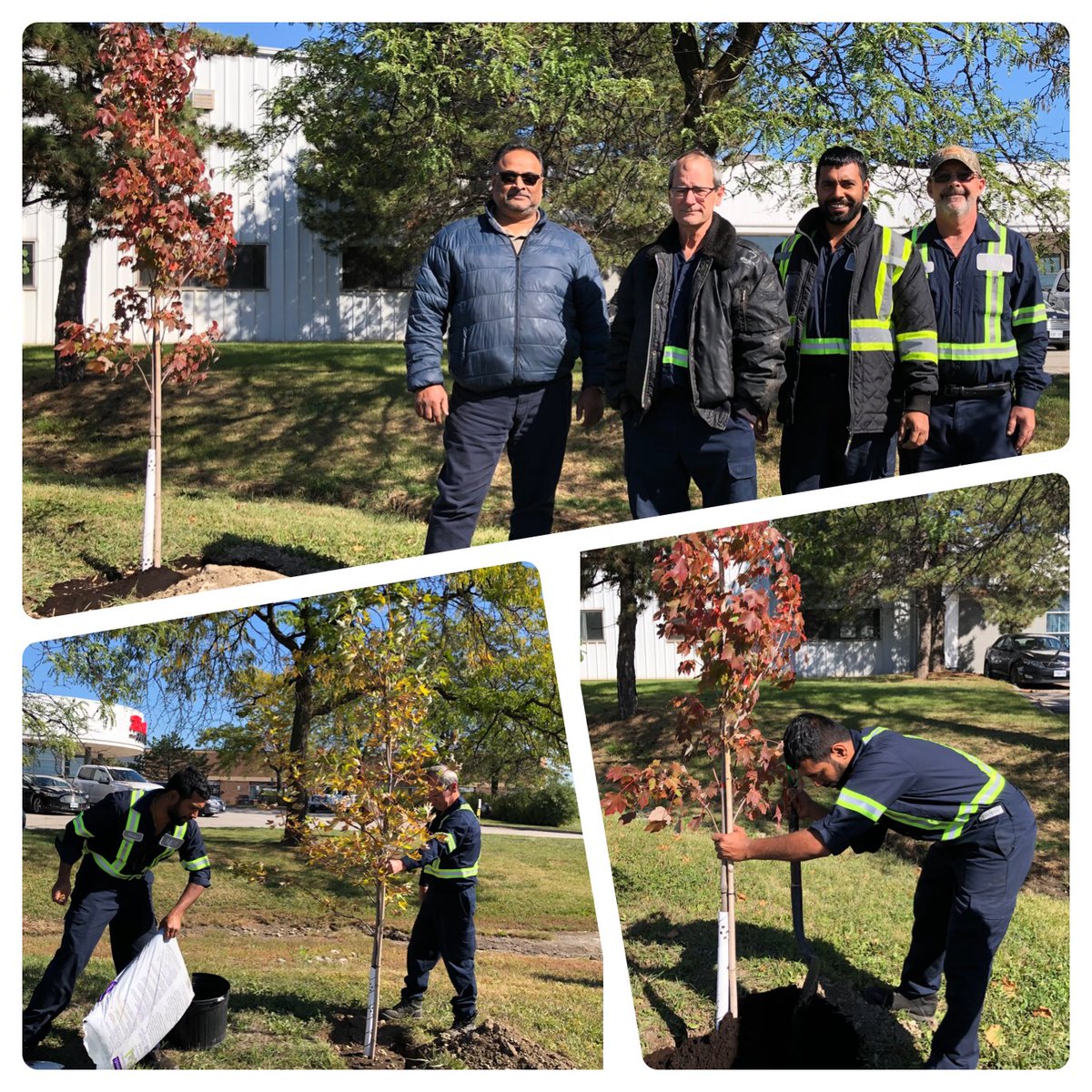 Our Internal Tree Planting Program started this fall across the country and today we thank our Brampton Facility team for their joy and participation on this initiative!

#treeplanting #brampton #mcasphalt #environment