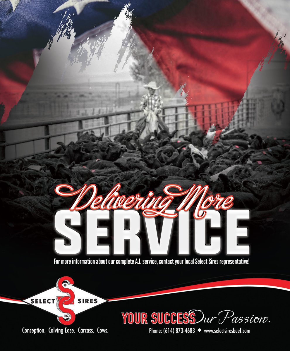 SelectSiresBeef's tweet image. Find your specialist today - bit.ly/beefspecialists

With fall breeding here, our crews are ready to help! Contact one our beef specialists in your area to learn how they can help you and your herd reach its maximum potential.