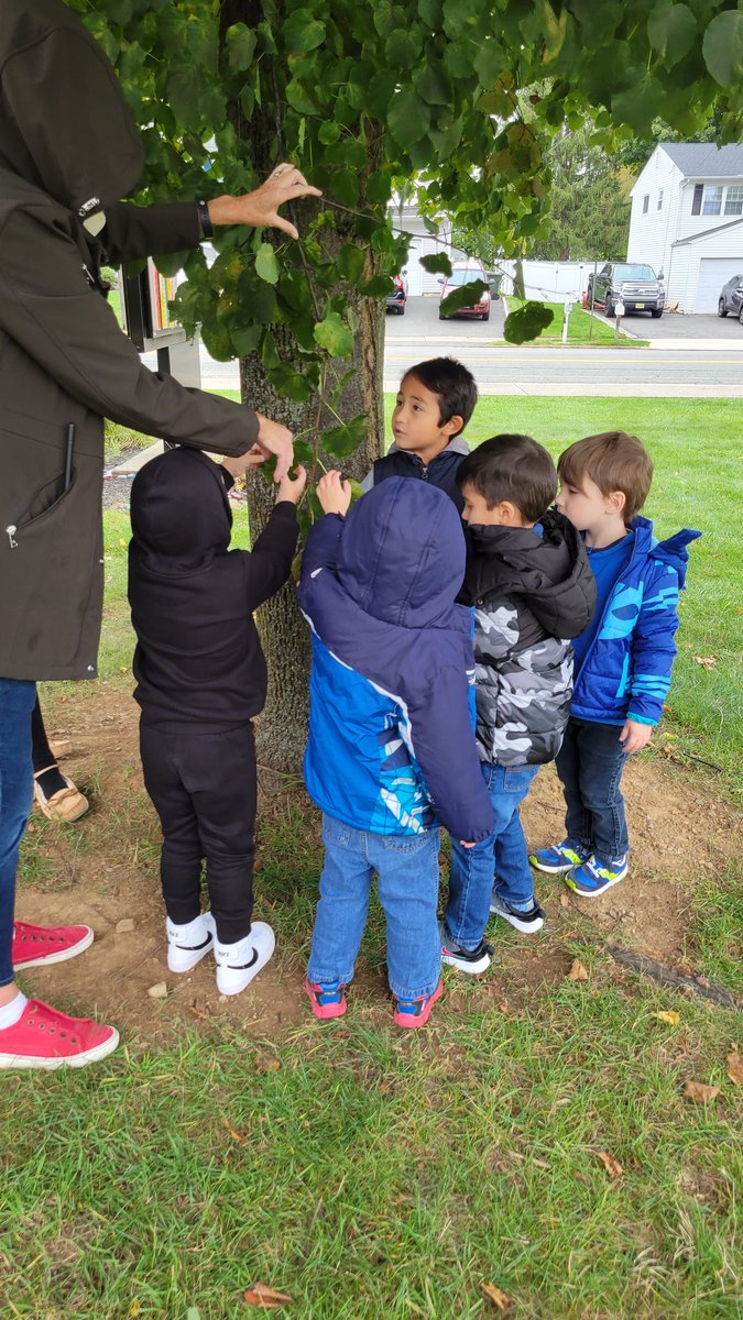 Alison Bancroft tweet media