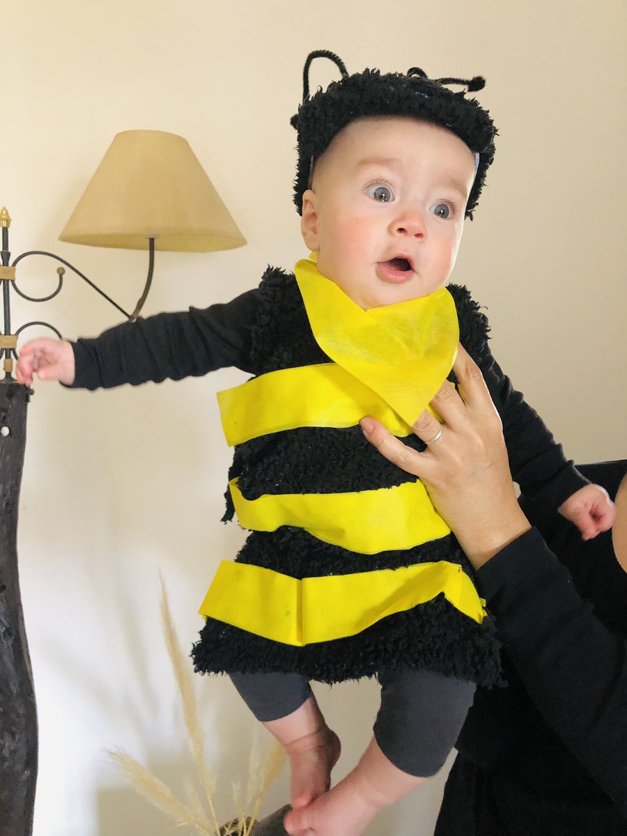 vposes's tweet photo. Apareció un zángano en casa 🤣🐝 https://t.co/D1E7XkP4tr