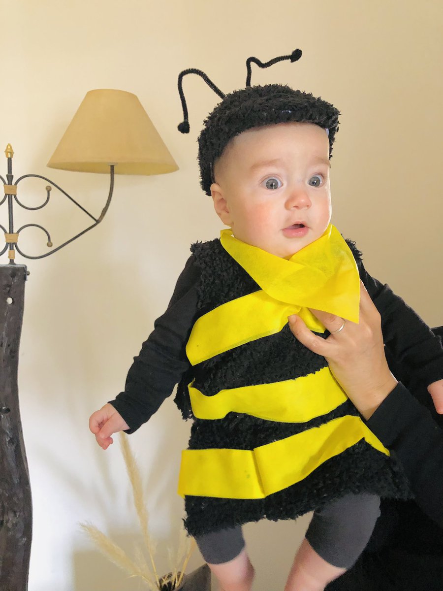 vposes's tweet photo. Apareció un zángano en casa 🤣🐝 https://t.co/D1E7XkP4tr