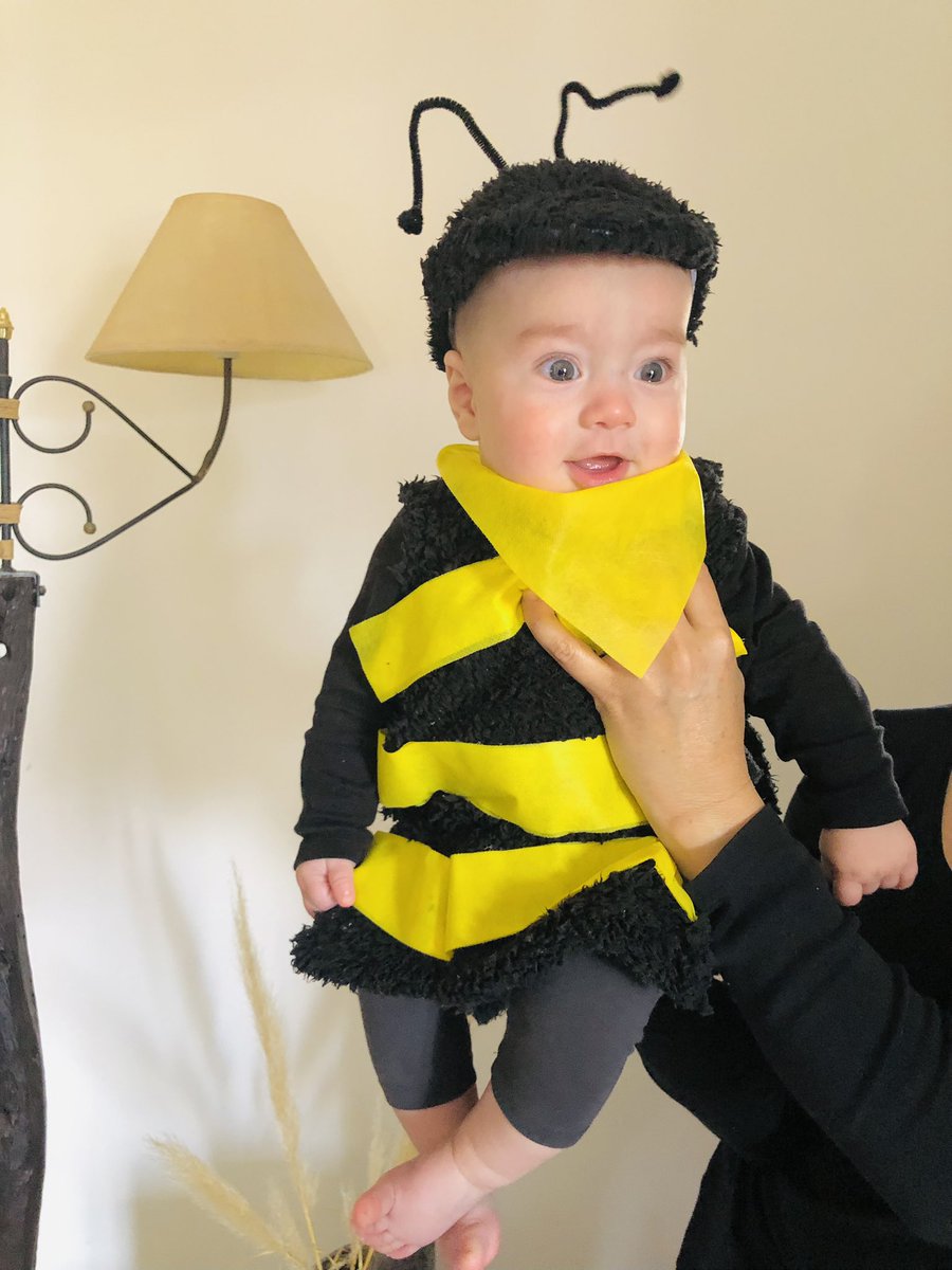 vposes's tweet photo. Apareció un zángano en casa 🤣🐝 https://t.co/D1E7XkP4tr