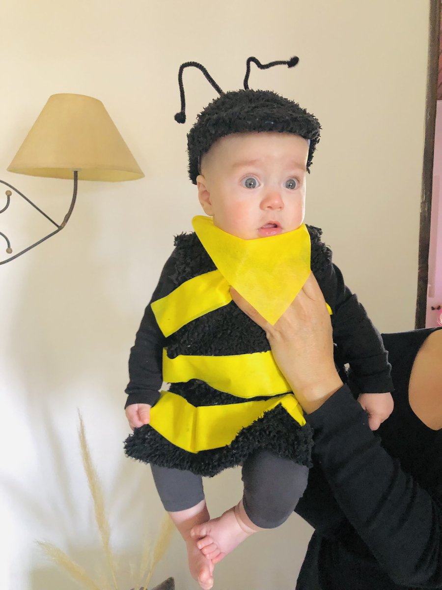 vposes's tweet photo. Apareció un zángano en casa 🤣🐝 https://t.co/D1E7XkP4tr