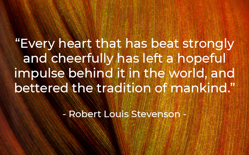 YMCA Blue Water Area tweet media