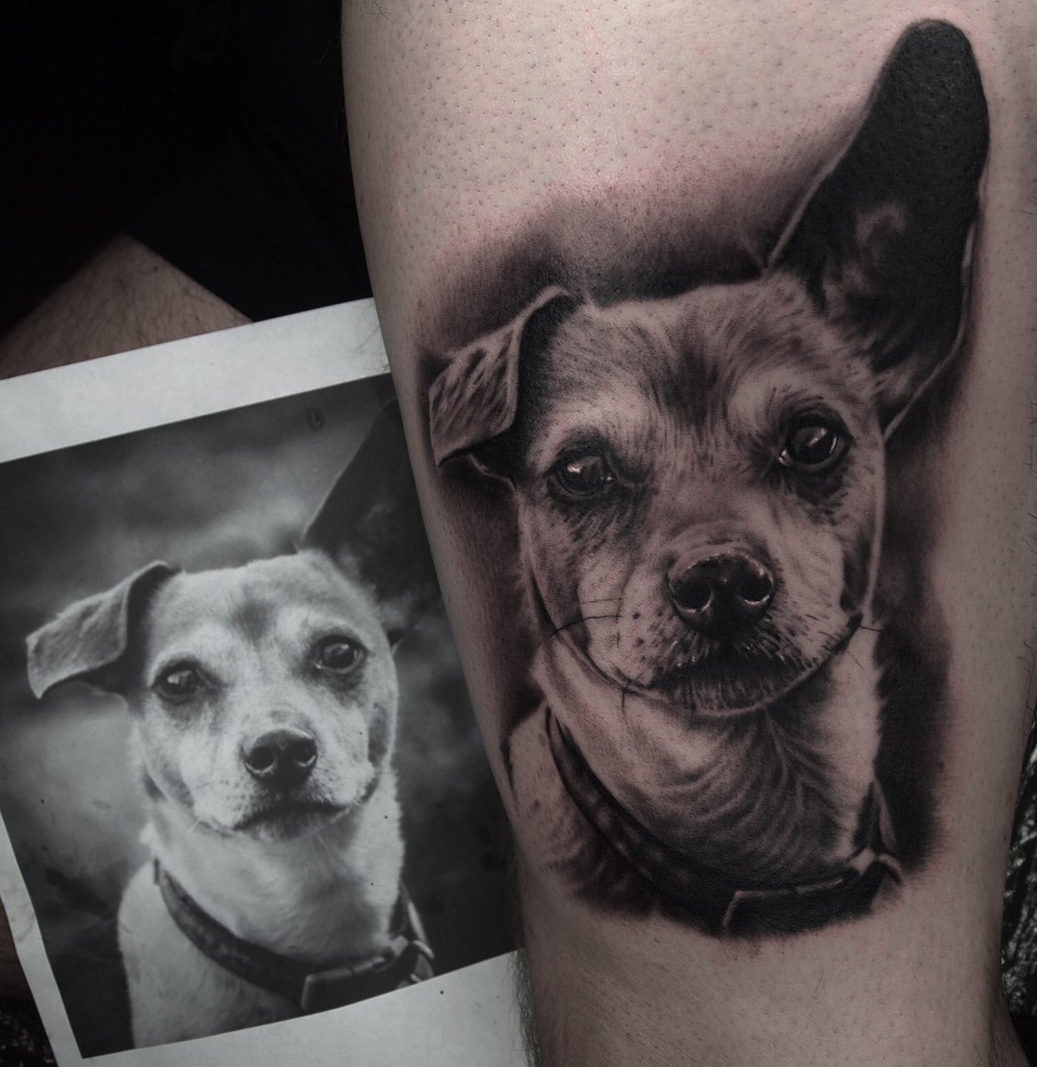 ry_harris89's tweet photo. Been a minute since I posted on Twitter. Have a dog portrait I done
rytattoos@hotmail.com https://t.co/XKhRB8jMf2