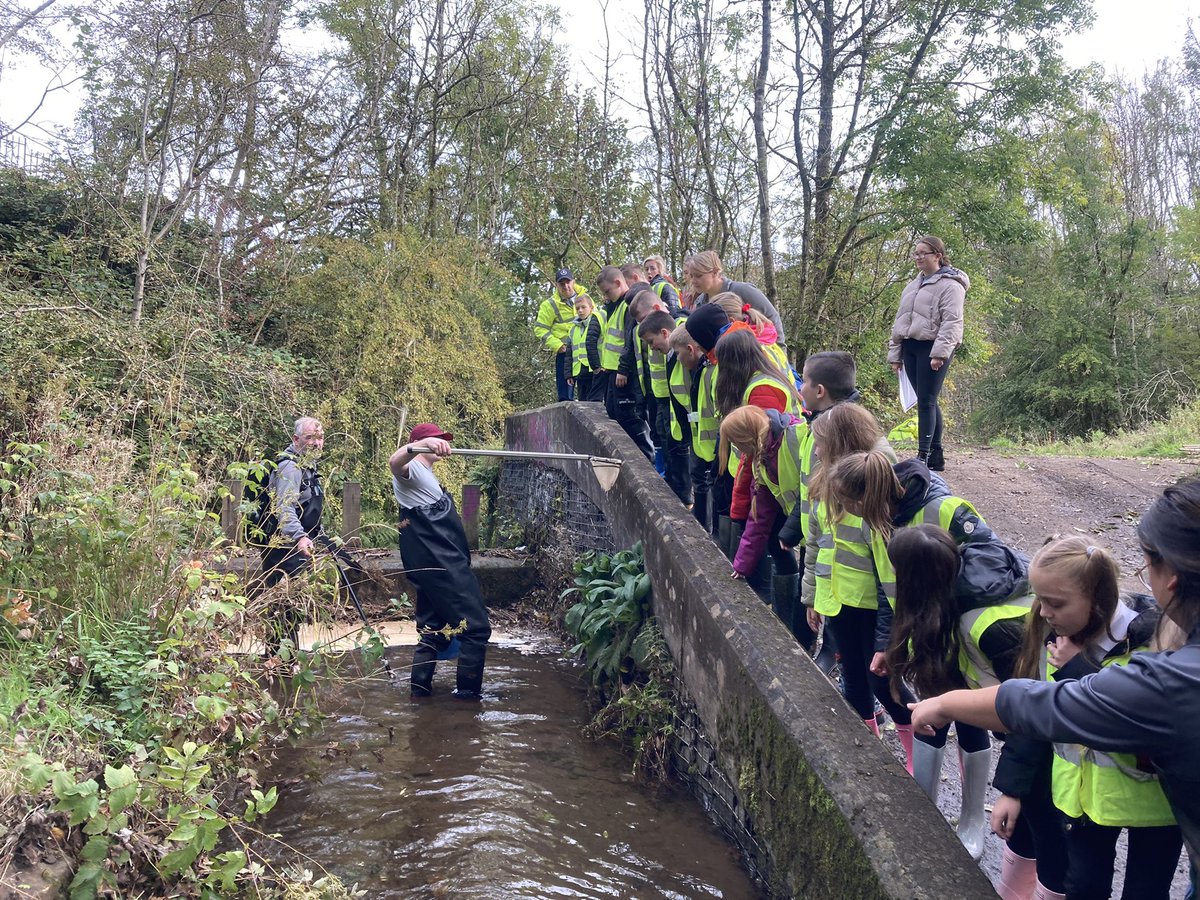 ClydeRF's tweet image. Very fine #FlyingFish day with P5/6 of @SaintPetersPS. Really great engagement by our #FutureStewards in the field and in our pop-up lab. Thank you @GLA_Airport #FlightPathFund for making this possible.