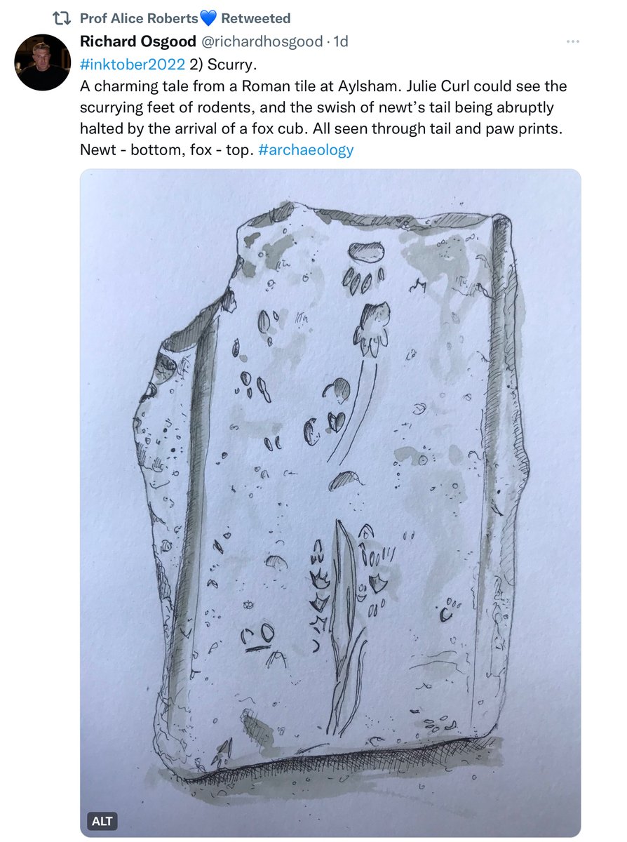Lovely when you look at a tweet and say, “That's our fox and newt tile!” Thank you <a href="/theAliceRoberts/">Prof Alice Roberts💙</a>  and <a href="/richardhosgood/">Richard Osgood</a>