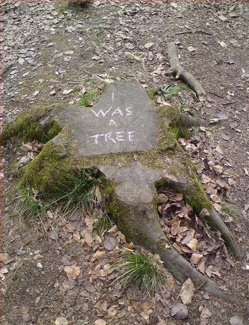 TechCentric_'s tweet photo. Earth is not meant for humans to recklessly exploit everything out it as if it was an inexhaustible inventory.

It meant to sustain and is doing perfectly fine without human interference.
#ClimateAction #climate https://t.co/nADsfb5IO2
