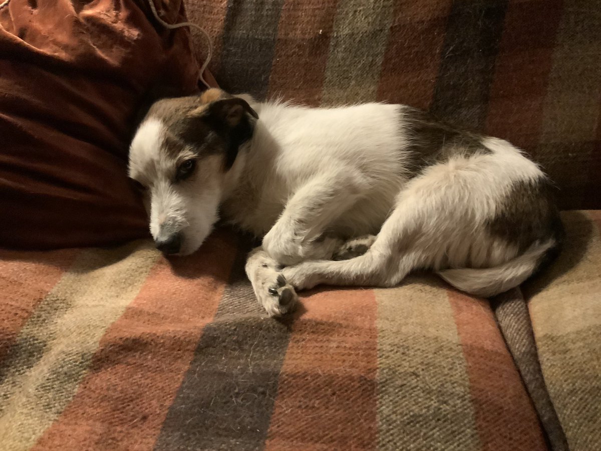 Berwickshire1st's tweet photo. Wool intrinsic to Scottish Borders, the source of our early wealth &amp; created fantastic legacy of abbeys, towns &amp; landscapes
Still important- we still produce some of the finest fabrics &amp; products on the planet &amp; the #homeoftweed #lovatmill
#scotlandstartshere https://t.co/YGaqapIHtj