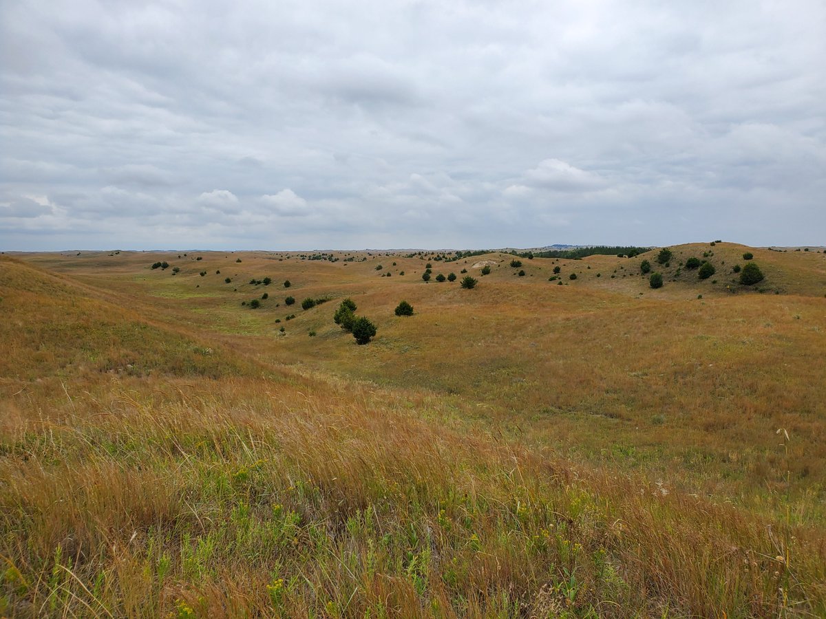 Dillon Fogarty tweet media