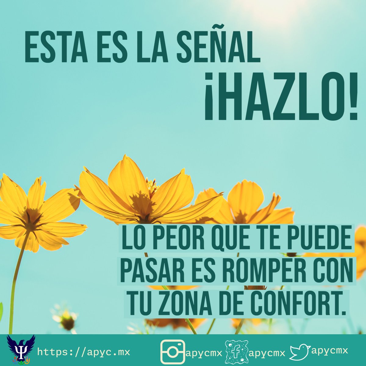 apycmx's tweet photo. El no ya lo tienes. Busca las experiencias y los aprendizajes. Moverte de donde estas es otra forma de cuidado.
#apycmx #iniciodesemana #lunes #crecimientopersonal #Psicologia https://t.co/NIvzKEYA0L
