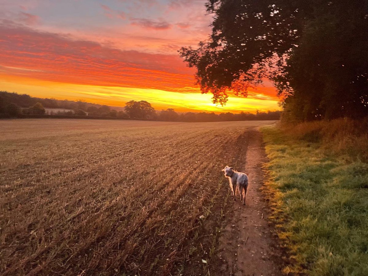 SimonCollierUK's tweet photo. #sunrise #sunset https://t.co/Tkydb6PtSu