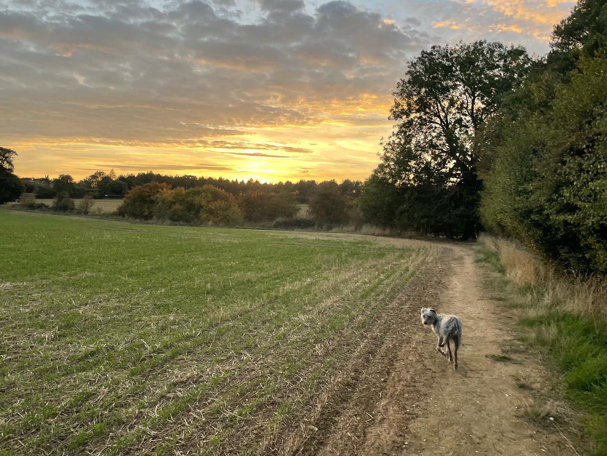 SimonCollierUK's tweet photo. #sunrise #sunset https://t.co/Tkydb6PtSu