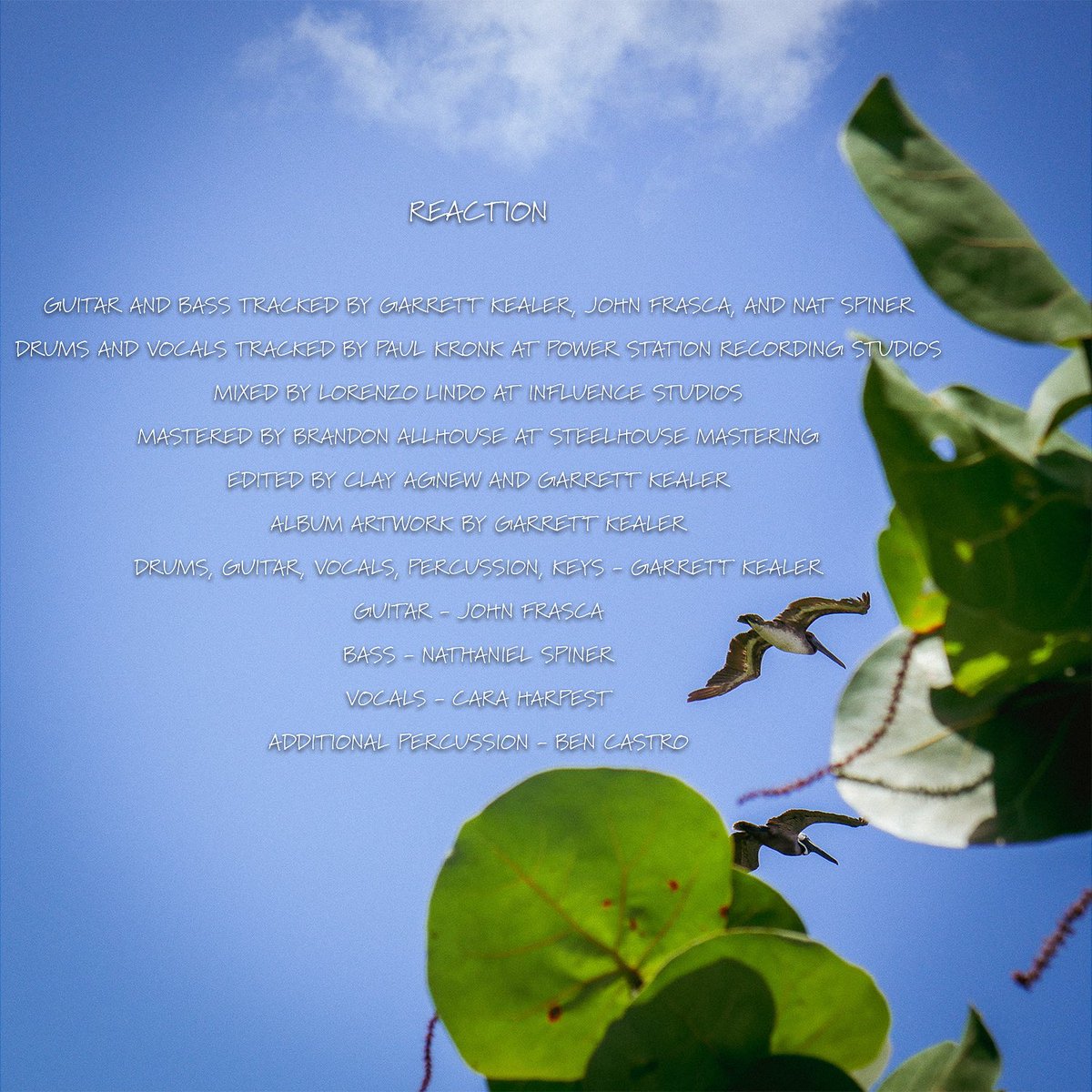 stumblesteady tweet media