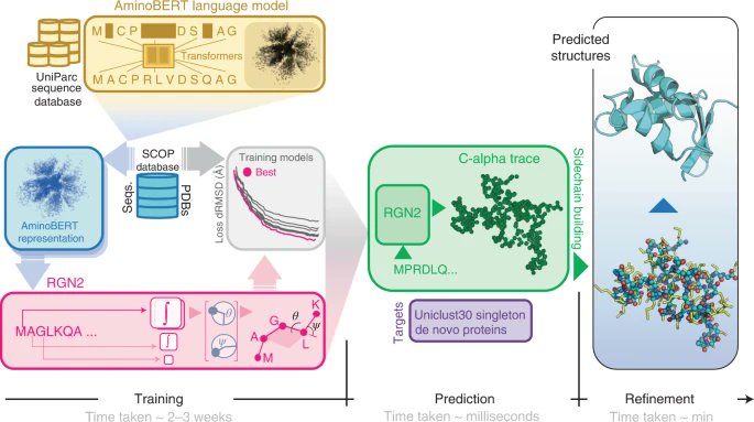 Single-sequence protein structure prediction using a language model and deep learning go.nature.com/3fCqoAu