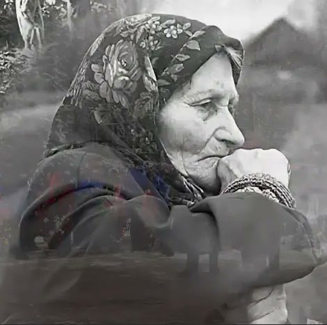 Larissa090494's tweet photo. 4 октября 1944 года письмо матери фронтовиков Козиной: «Мой наказ сыновьям Льву, Ивану, Петру, Виктору и Александру – смело боритесь за Родину. Громите, сыны-герои, дикие орды немецких захватчиков!» https://t.co/A78JUSiwIt