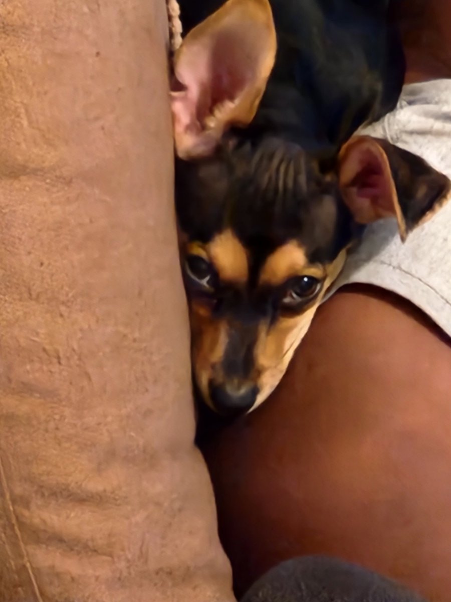 I think Yonce is giving me dirty looks because she is mad....