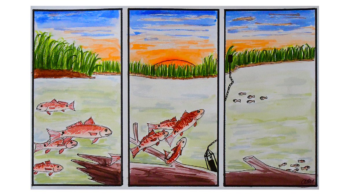 SeaGrantNC's tweet photo. Can the sounds of courting fish help predict the number of offspring? Find out and listen on this week's #HookLineAndScience ππ₯π§
https://t.co/JjViWIWSKZ https://t.co/zvyOiSQxuV