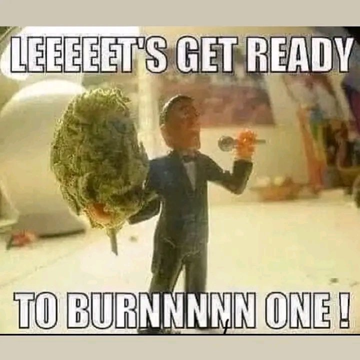 Barnes20226's tweet photo. Mmemberville #CannabisCommunity #WeedLovers https://t.co/0dQETrYqUi