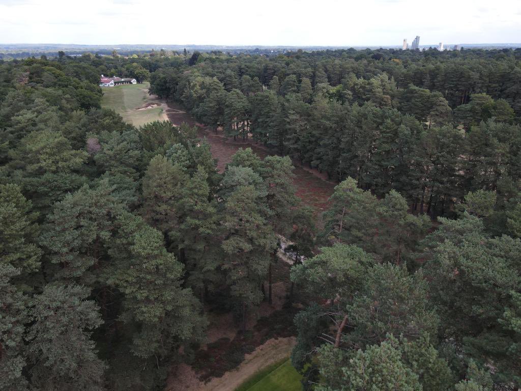 andy ewence (@andyewence) on Twitter photo Itโs amazing how an open heathland course <a href="/WokingGolf/">Woking Golf Club</a> can get over taken by trees in 100 years. Just shows how the heaths are in decline and need essential tree removal to survive. We managed to get the drone to roughly the same area the first photo was taken @davidwarner75 ๐ Itโs amazing how an open heathland course <a href="/WokingGolf/">Woking Golf Club</a> can get over taken by trees in 100 years. Just shows how the heaths are in decline and need essential tree removal to survive. We managed to get the drone to roughly the same area the first photo was taken @davidwarner75 ๐