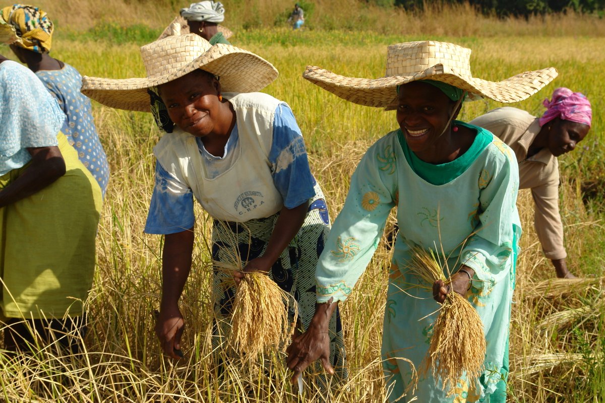 GEF_SGP's tweet photo. #DYK SGP is an incubator &amp; accelerator of community innovations that links civil society, governments &amp; private sector to promote systemic change from the community level to achieve the #SDGs? 

Take a look at #30yearsofaction: https://t.co/16nAnhfcF5 https://t.co/nrDNas8sIs