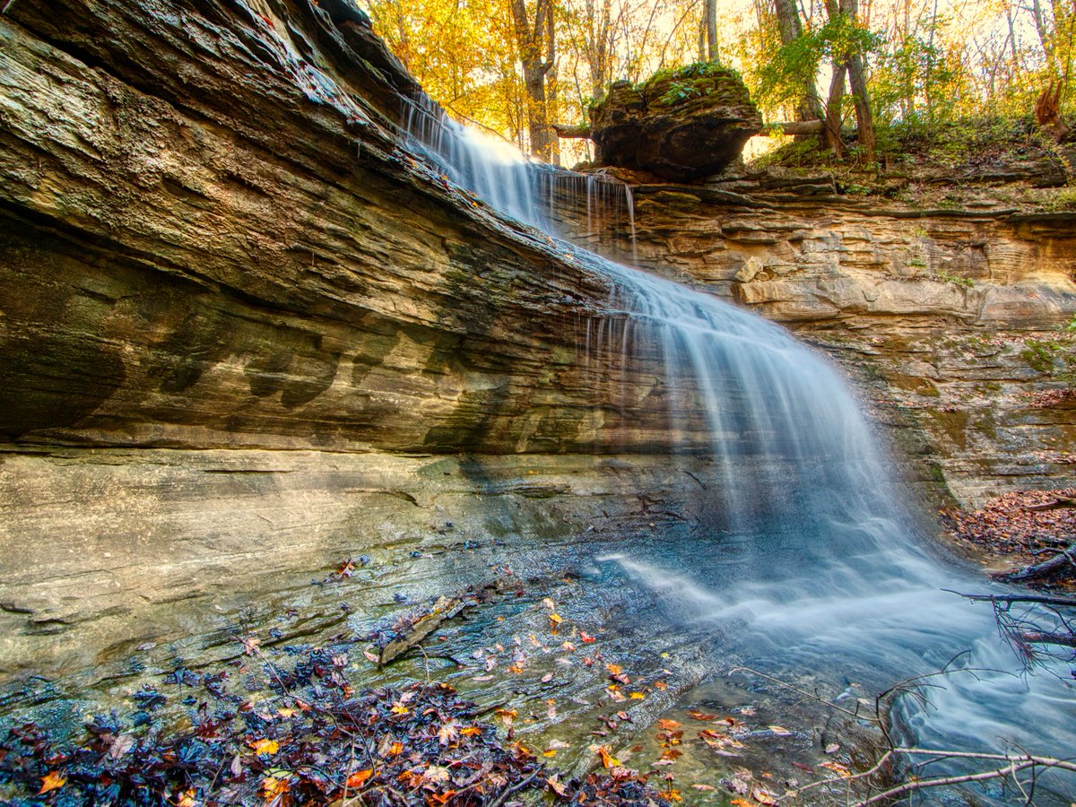 louisvillemsd's tweet photo. During #WorldHabitatAwarenessMonth, we want to highlight the ways you can help create a more diverse ecosystem, right in your backyard!
Stay tuned this month for more 👀
#safecleanwaterways https://t.co/cVbnGCBRp4