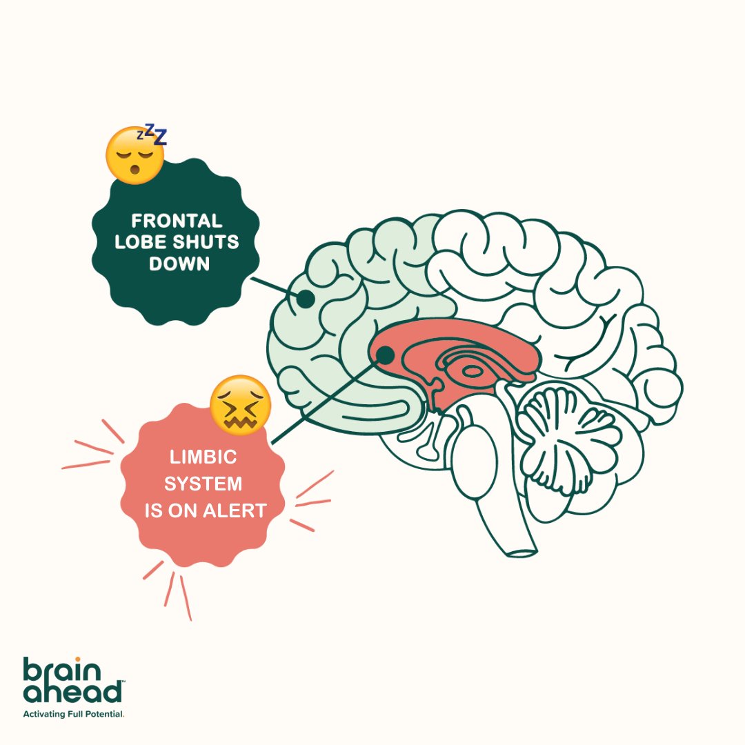 Have you ever wondered what’s going on inside the #brain of a #stressedoutstudent? We’re covering this topic in our latest blog post. Read the post here: hubs.la/Q019lqD20