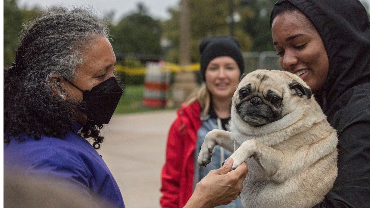 Washington National Cathedral On Twitter Despite Wind And Rain Pets washington-national-cathedral-on-twitter-despite-wind-and-rain-pets