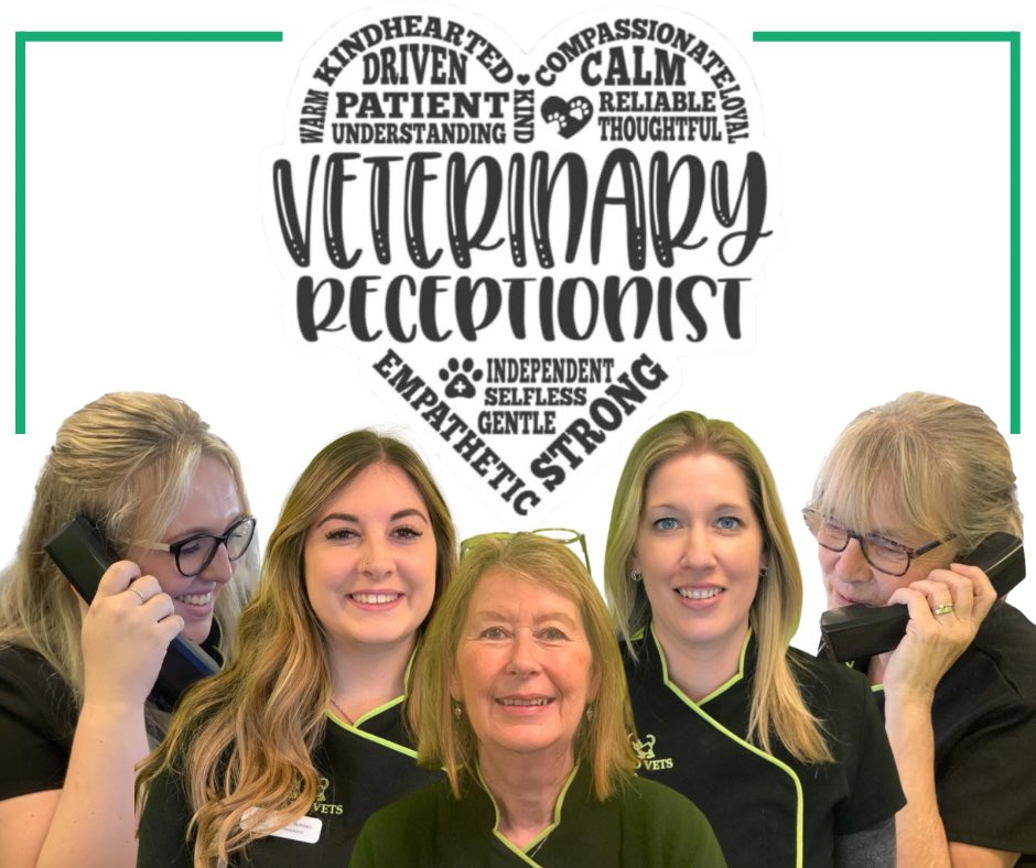 PortlandVets's tweet photo. Our amazing reception team at Portland Vets #vrad22 #vetreceptionist https://t.co/CzMr9MA4Z9
