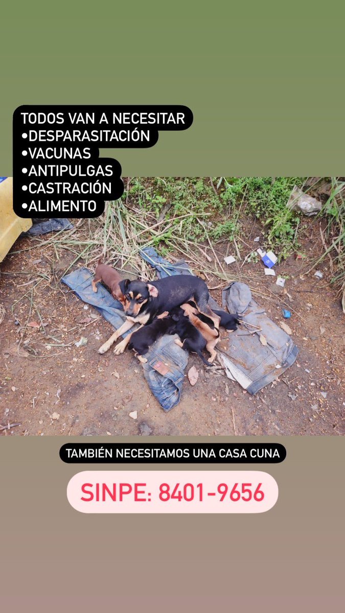 También necesitamos una casa cuna lo más pronto posible. El SINPE: 8401-9656