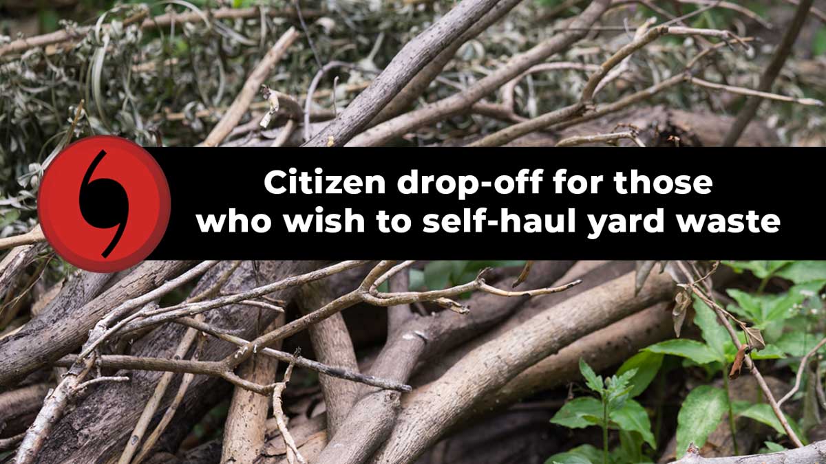 To self-haul yard waste, visit a drop-off site; 5901 Strickland Ave., Lakeland, Corner of Cypress Parkway and Lake Marion Creek Road, Poinciana and 9500 Marigold Ave., Poinciana. All open 7 a.m. - 6 p.m. You will need ID. No commercial companies. Vegetative material only.