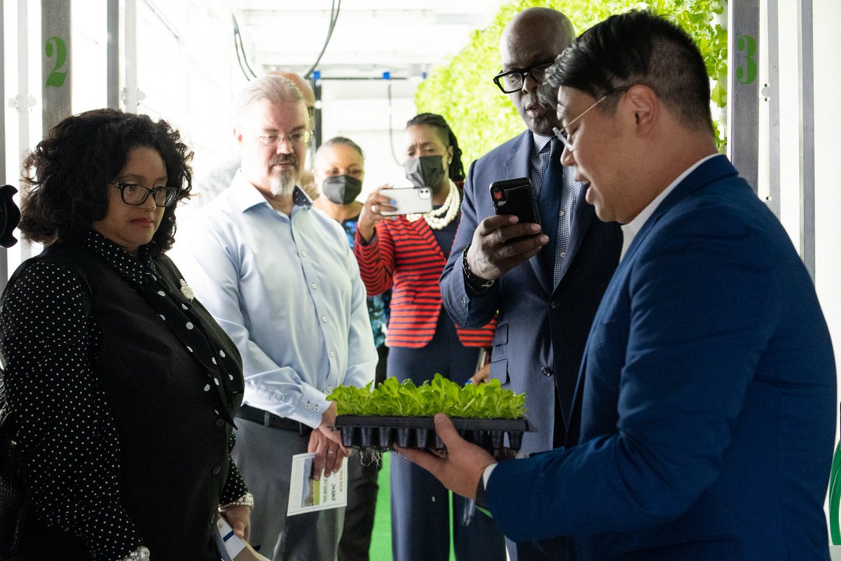 It all starts with a seed 🌱

#HBCU #delawarestateuniversity #ponix #propelcenter #hydroponics