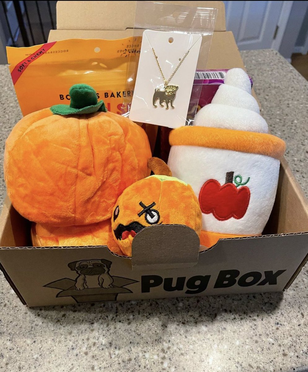 PugBoxes's tweet photo. We're getting into the spirit of #spookyseason with all of our pug pals! 🎃👻🍬🧡🍁 The adorable Oscar and Porkchop are having fun with their #Pumpkin Party #PugBox this month!

Visit https://t.co/Yjuy9bhAiO to join the pumpkin fun! 
#pugs #puglife #Halloween #fall #fallvibes https://t.co/fOBYz1WoX6