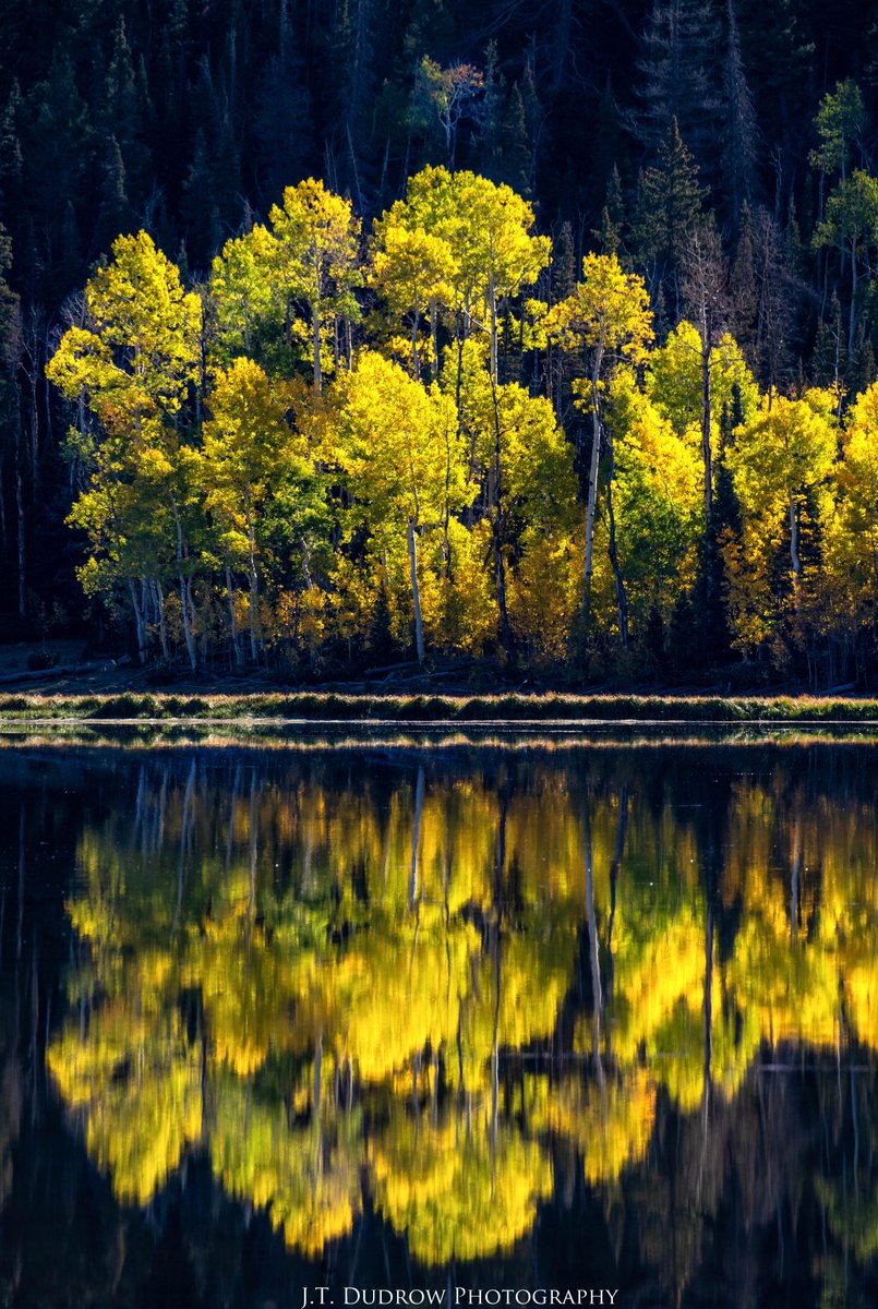 Fish Lake Reflections #utah #fallcolors #autumn