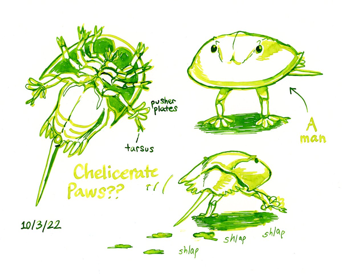 Today's inktober is my new obsession, horseshoe crab paws. 10/3/22