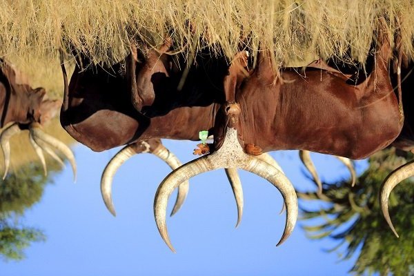 Massimiliano Loizzi tweet media