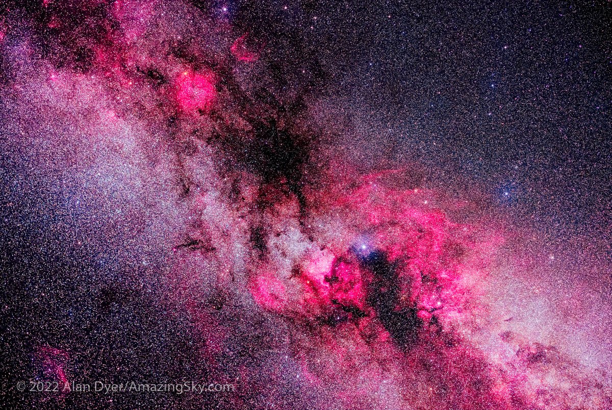 amazingskyguy's tweet photo. Two framings of the nebula-rich regions of the current Milky Way now overhead on autumn nights, in Cepheus and Cygnus, in blends of images taken with an H-Alpha filter and without. With the Canon Ra and RF28-70mm lens on a Star Adventurer tracker, from home on some fine nights. https://t.co/gCB6iz1Ssf
