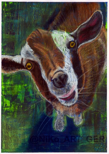 NiKo_ART_GER's tweet photo. W is for West African Dwarf Goat
#AnimalAlphabets #breedsofanimals @AnimalAlphabets
#drawing #painting #gouache #watersolublepaintingcrayons
#kleineKunstklasse https://t.co/f2UE6QCSSm