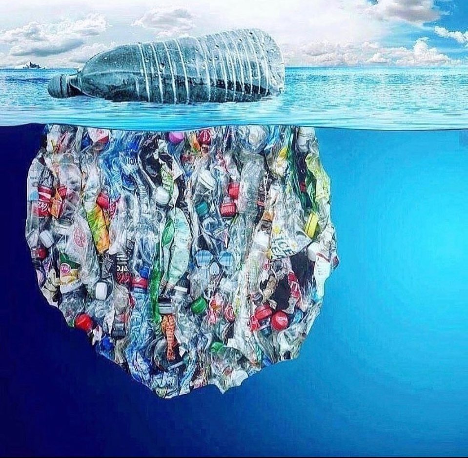 ecofriendlyfact's tweet photo. Every plastic bottle you have ever used still exists.

Americans buy 29 billion water bottles a year. For every six bottles people buy, only one is recycled.

#changingwaveus #plasticpollution #plasticfree #zerowaste #savetheplanet #plastic #ecofriendly #pollution #environment https://t.co/ZYPt9Jb69v