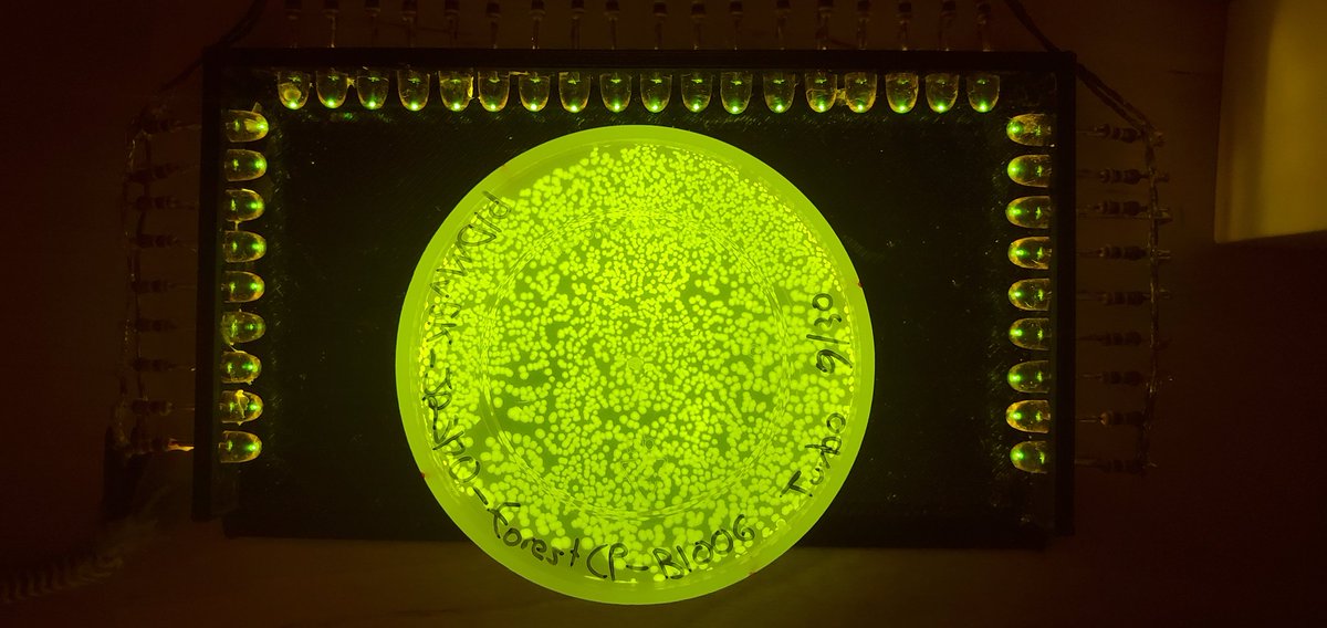 Sebastian S. Cocioba🪄🌷 tweet media