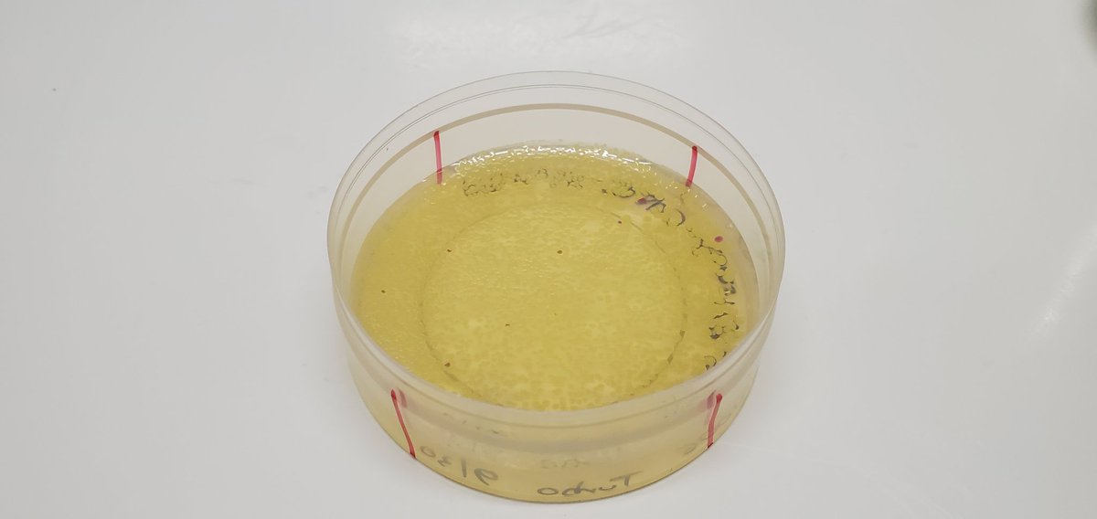 Sebastian S. Cocioba🪄🌷 tweet media