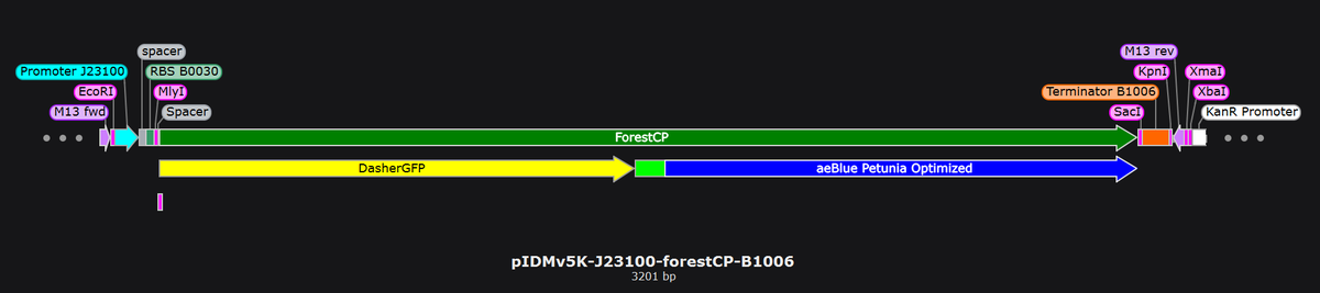 Sebastian S. Cocioba🪄🌷 tweet media
