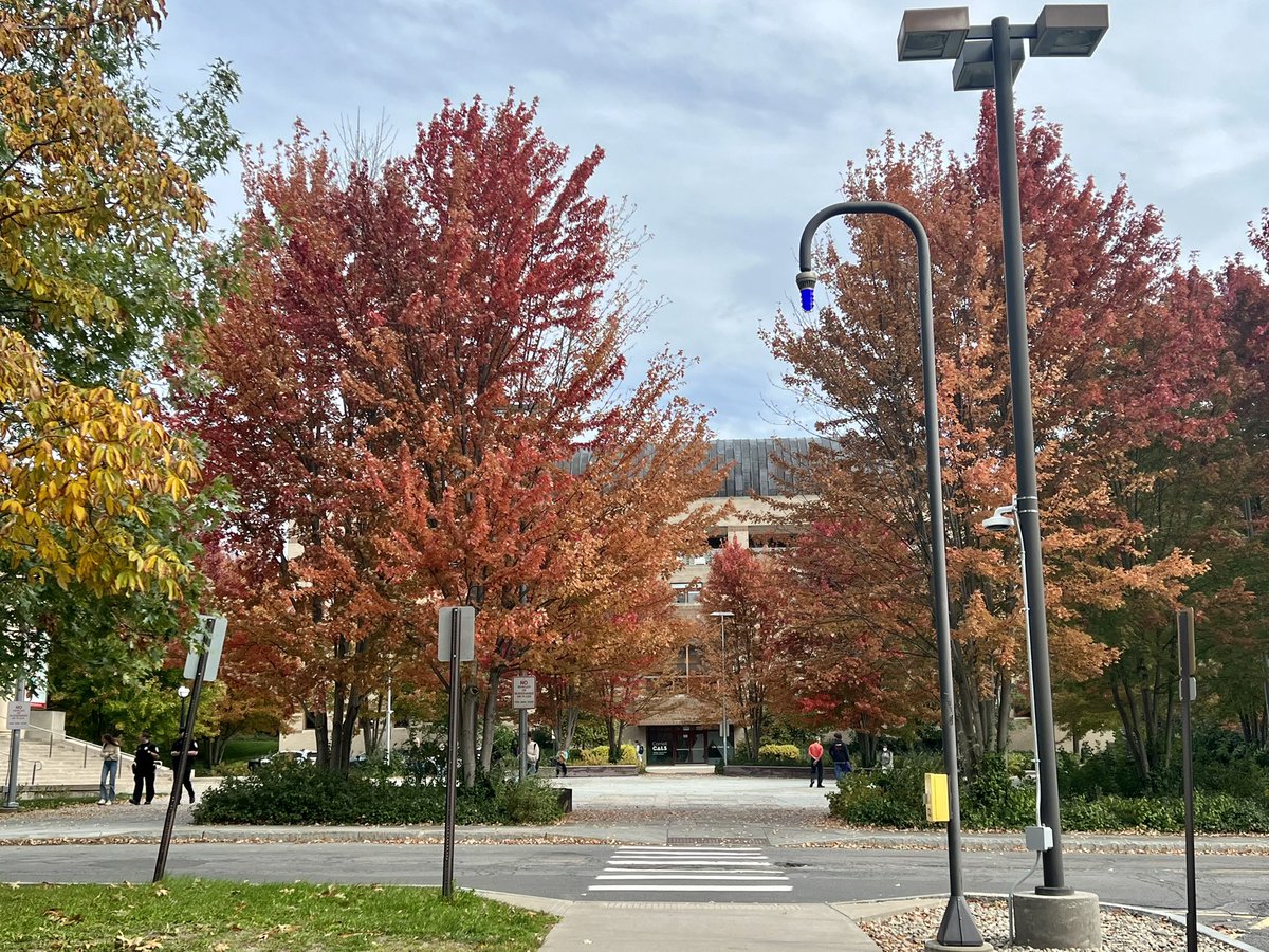Amazing colors on <a href="/cornell/">Cornell University</a> campus as well.