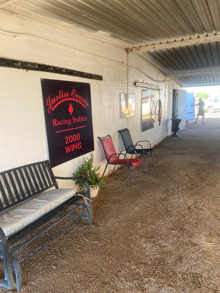 Turf Paradise tweet media