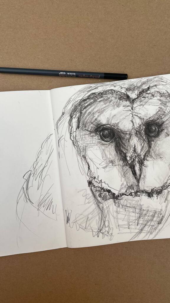 kathealykreates's tweet photo. One of my Sunday sketches… another owl 🦉 study this time in hard pencil charcoal by @winsorandnewton
…
#woodlandcreatures #owlsofinstagram #owlsoftheday #artprocessvideo #artvid #artvideos #charcoalstudy #charcoalsketches https://t.co/DKmSqY4PyT https://t.co/Nv8KKwfutR