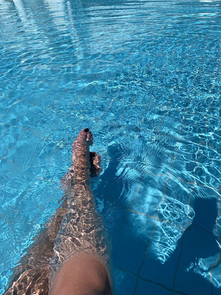 Während ihr kleinen Hündchen gefroren habt, konnte ich die Sonne genießen 💁🏻‍♀️🤭