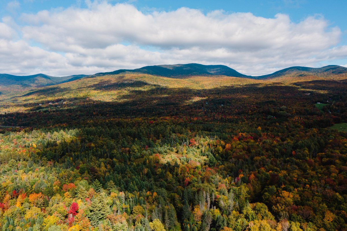 timbriggsphoto's tweet photo. Views of electro-fishing for Brook Trout with @NBFurey and team in the White Mountains, NH. https://t.co/fcWSh0ovC1